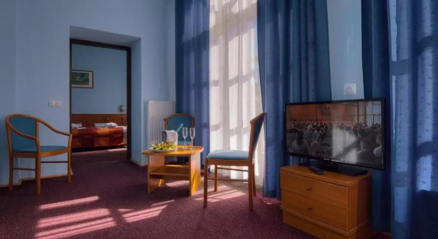 Номер Standard Erzsébet Park Hotel