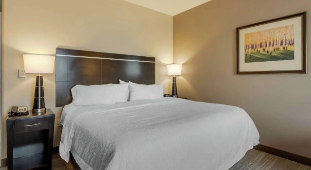 Двухместный номер Standard Hampton Inn Alamosa