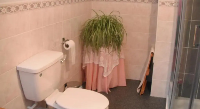 Номер Standard Narrow Gauge B&B