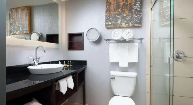 1 soveværelse i suite DoubleTree by Hilton Chattanooga