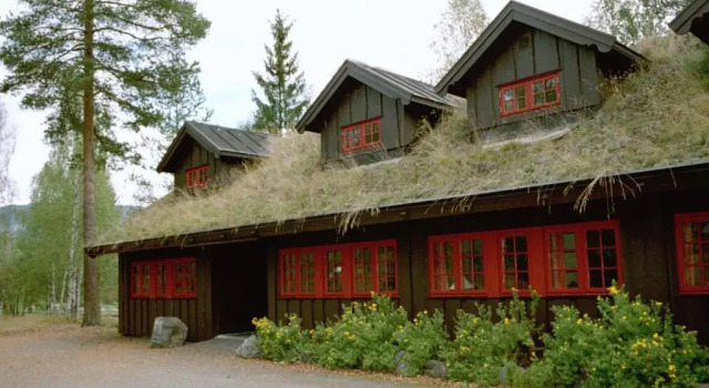 Апартаменты Hunderfossen Apartments
