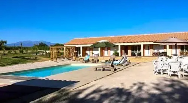 Standart oda L´oliveraie