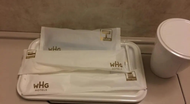 Одноместный номер Standard Iwaki Washington Hotel