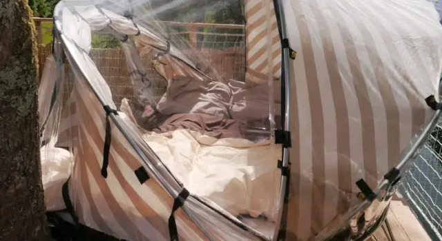 Bulle Espace Fouletot, Boek Hotel Hotels in Franche-Comte met ontbijt, Ontbijt