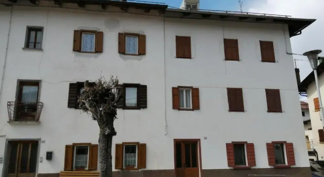 Ajarnola N14