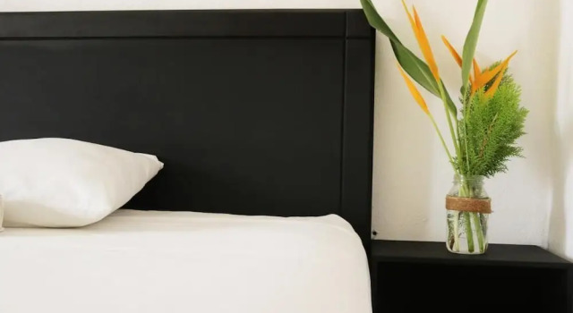 Room in Guest room - Double room for a Couple, Buchen Sie Pension Gästehäuser in Oaxaca, Pension