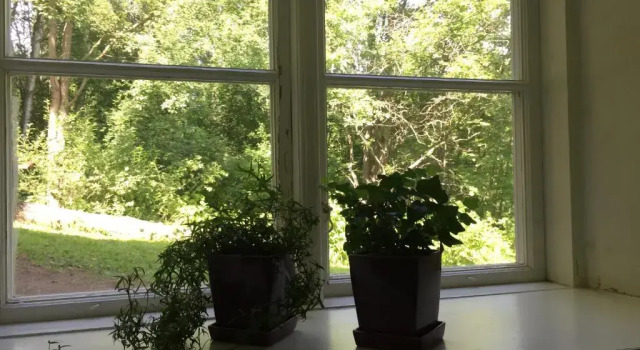 Апартаменты Цокольный этаж Domsjö Apartment