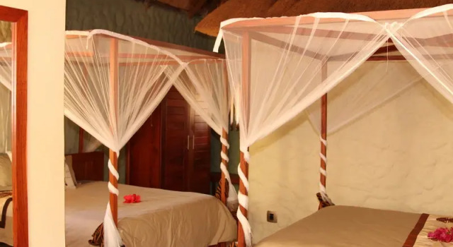 Одноместный номер Standard Kubu Safari Lodge