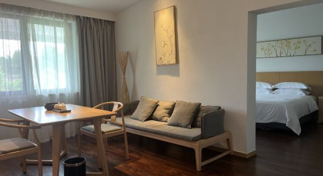 Люкс Huayu Meishu Hotel