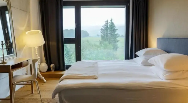Двухместный номер Standard с видом на горы Hotel de l’Ours Preles