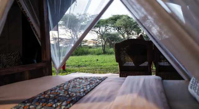 Двухместный номер Comfort Africa Safari Ngorongoro Ndutu