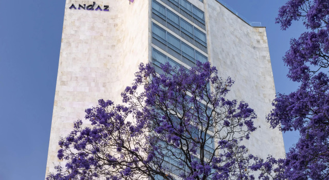 Andaz Condesa Mexico City, By Hyatt, Book Hotel Mexico City Mexico DF