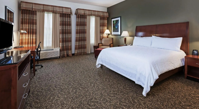 Двухместный номер Standard Hilton Garden Inn Corpus Christi
