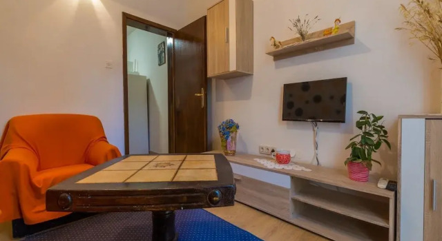 Apartment Vesnica