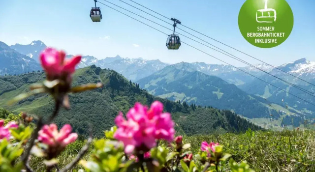Номер Standard Hotel Fuggerhof Oberstdorf