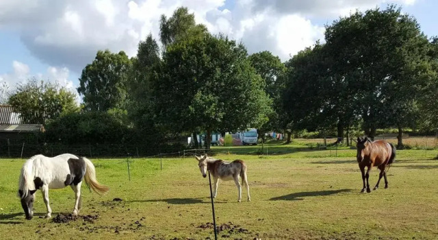 Коттедж Les Gîtes du Goelo