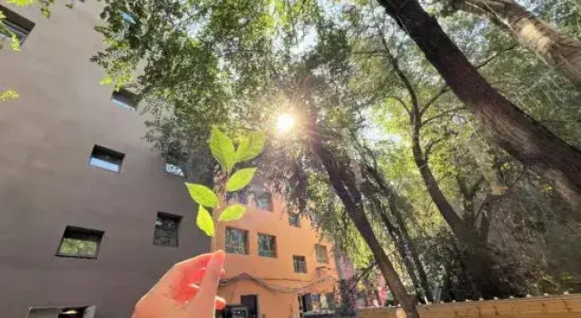 Jili  Hotel, Rezerwuj Hotel Urumqi Xinjiang