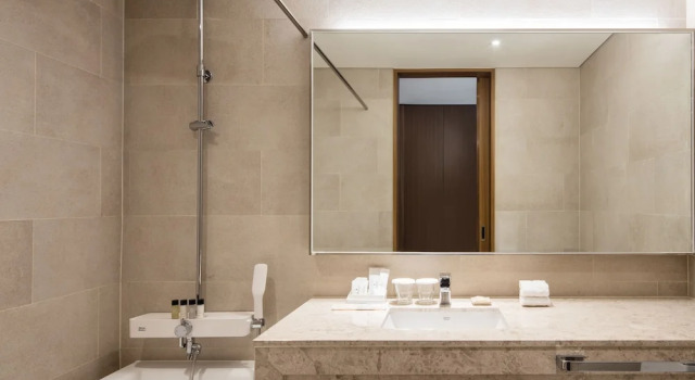 Двухместный номер Deluxe Ramada Seoul Sindorim Hotel