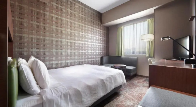 Двухместный номер Deluxe Sotetsu Grand Fresa Tokyo-Bay Ariake