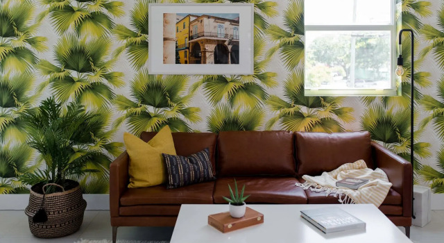 Colorful Studio in Wynwood by Sonder