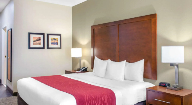 Двухместный номер Standard Comfort Inn & Suites Covington - Mandeville