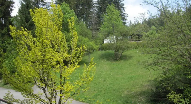 Апартаменты c 1 комнатой с видом на сад Ferienhaus Heimhof
