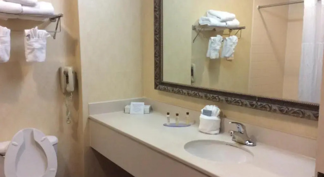 Номер Standard Wingate by Wyndham High Point Greensboro Airport South