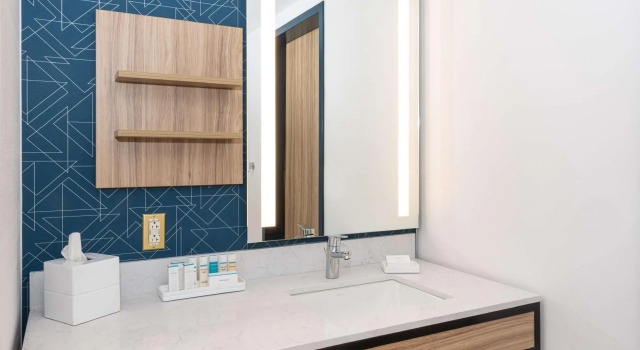Четырёхместный номер Standard Hilton Garden Inn Flint Downtown