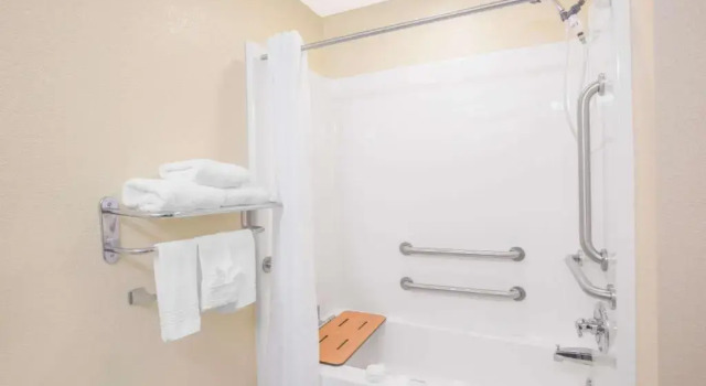 Люкс Microtel Inn & Suites by Wyndham Albertville