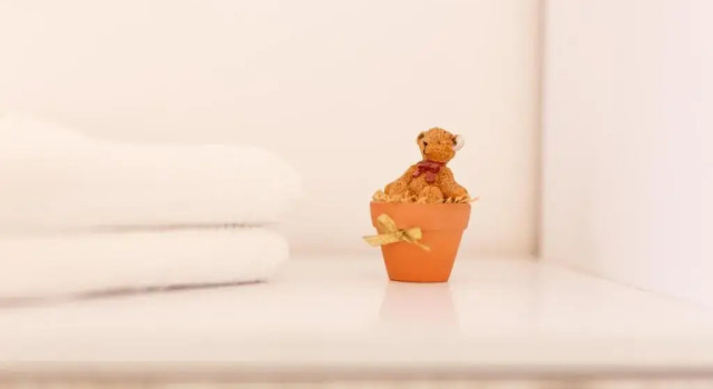 Семейный номер Standard Csiki Hotel