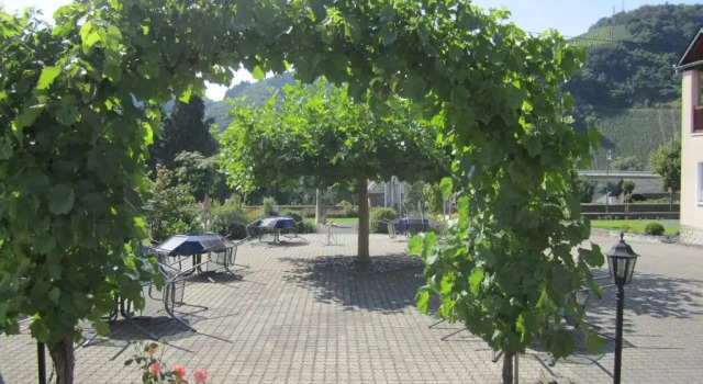 Апартаменты Ferienwohnung Römerweinhof