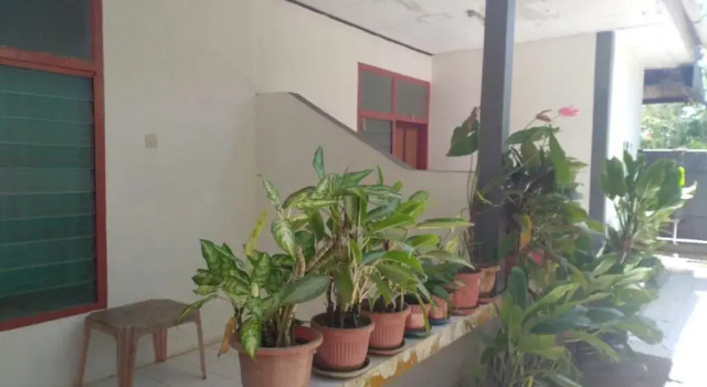 Двухместный номер Standard Villa Yasmin Malino