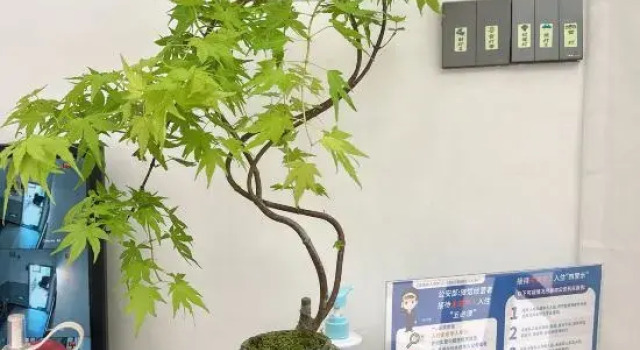 Kunming Wangdian Courtyard (Kunming Xishan), Rezerwuj Hotel Hotele w Kunming z parkingiem, Parking