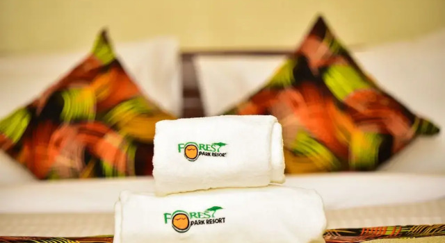 Номер Standard Forest Park Resort Buloba