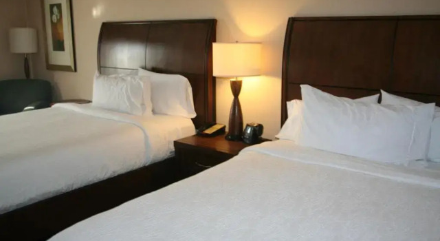 Четырёхместный номер Standard Hilton Garden Inn Charlotte/Concord