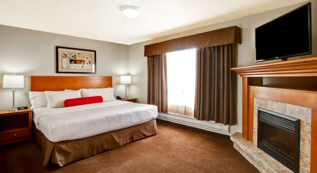 Apartmá Canalta Provost