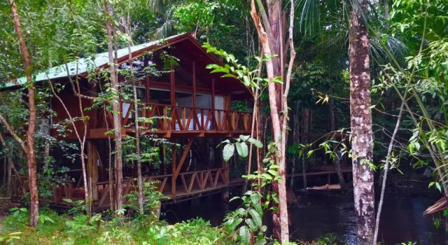 Номер Deluxe Cirandeira Amazon World EcoResort