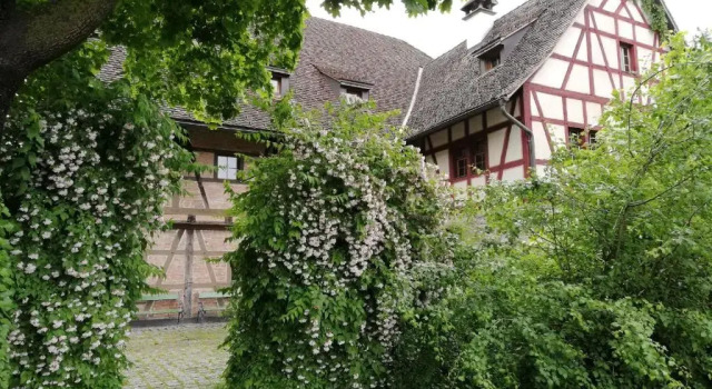 Кровать в общем номере Youth Hostel Feldkirch