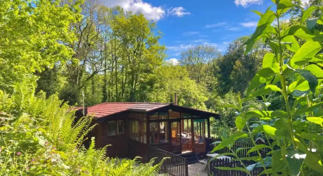 Superior- feriehus Churchwood Valley