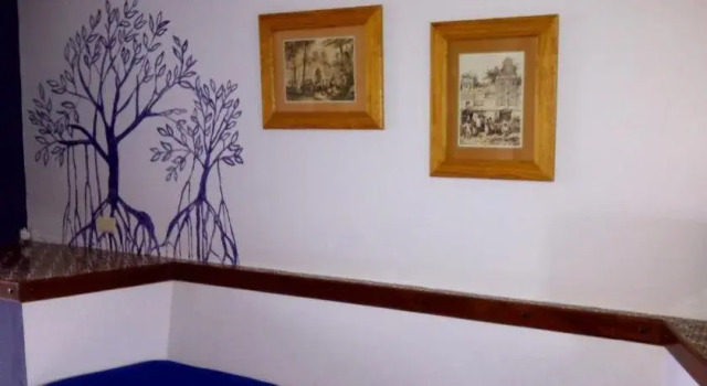 Suitel 522 Eco Hostel, Rezervați Hostel Hosteluri în Mazatlán, Hostel