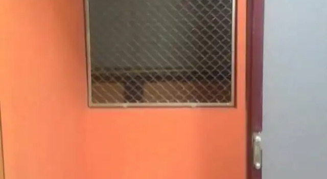 SiBamboo 2