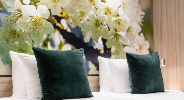 Номер Business Hotel Stayen