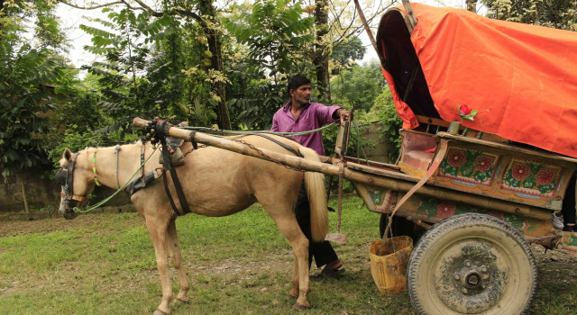 Chitwan Safari Resort, Забронировать Отель Читван провинция Багмати-Прадеш