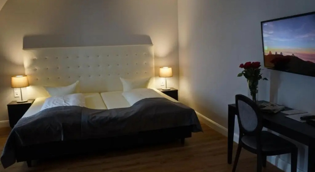 Одноместный номер Standard Hotel Rheinischer Hof Bad Soden