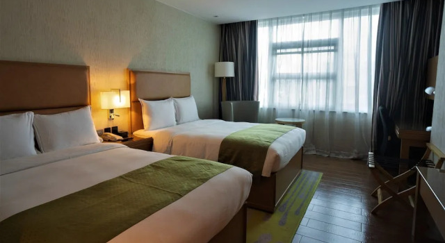 Ion Hotel