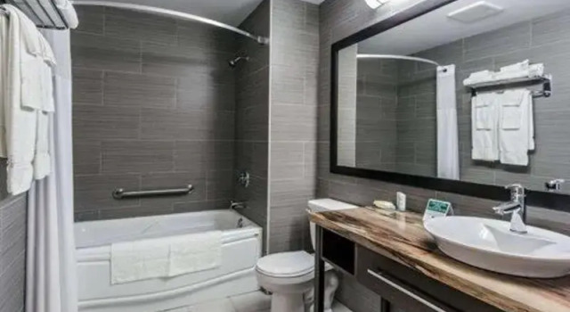 Номер Standard Quality Inn & Suites