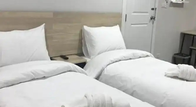 Номер Comfort Me and Tree Villa