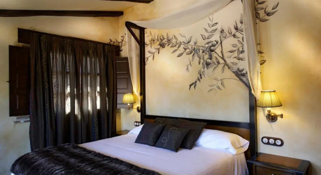 Двухместный номер Standard Hotel Rural & Spa Los Ánades