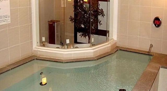 Spa & Sauna Hotel Hitachi Plaza