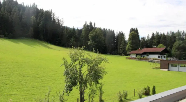 Номер Standard Boutique Hotel Alpenhof